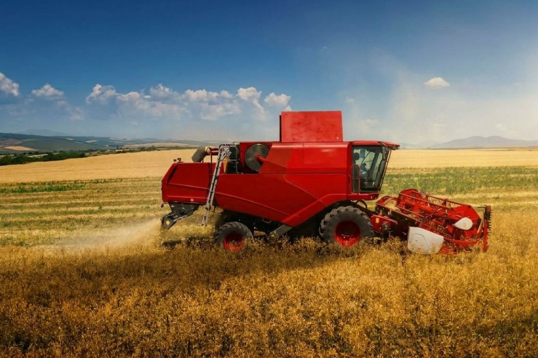 Modern combine harvester and trailer full of grain